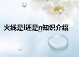 火线是l还是n知识介绍
