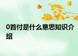 0首付是什么意思知识介绍