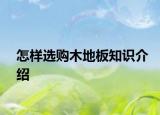怎样选购木地板知识介绍