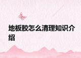 地板胶怎么清理知识介绍