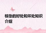 棕垫的好处和坏处知识介绍