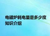 电磁炉耗电量是多少度知识介绍