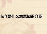 loft是什么意思知识介绍