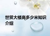 世贸大楼高多少米知识介绍