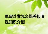 真皮沙发怎么保养和清洗知识介绍