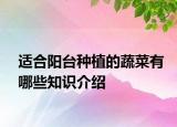 适合阳台种植的蔬菜有哪些知识介绍