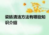 瓷砖清洁方法有哪些知识介绍
