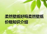 柔然壁纸好吗柔然壁纸价格知识介绍