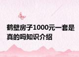 鹤壁房子1000元一套是真的吗知识介绍