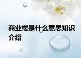 商业楼是什么意思知识介绍