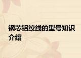 钢芯铝绞线的型号知识介绍