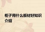 柜子用什么板材好知识介绍
