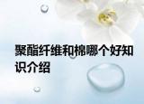 聚酯纤维和棉哪个好知识介绍