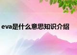 eva是什么意思知识介绍