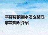 平房房顶漏水怎么彻底解决知识介绍