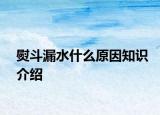 熨斗漏水什么原因知识介绍