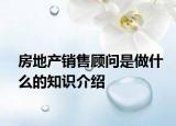 房地产销售顾问是做什么的知识介绍