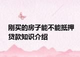 刚买的房子能不能抵押贷款知识介绍