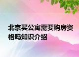 北京买公寓需要购房资格吗知识介绍