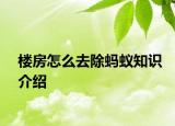 楼房怎么去除蚂蚁知识介绍