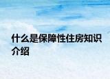 什么是保障性住房知识介绍