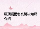 屋顶漏雨怎么解决知识介绍