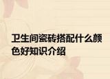 卫生间瓷砖搭配什么颜色好知识介绍