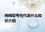 闸阀型号各代表什么知识介绍