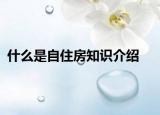 什么是自住房知识介绍