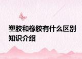 塑胶和橡胶有什么区别知识介绍