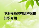 卫浴样板间有哪些风格知识介绍