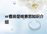 vr看房是啥意思知识介绍