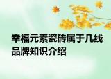 幸福元素瓷砖属于几线品牌知识介绍