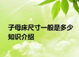 子母床尺寸一般是多少知识介绍
