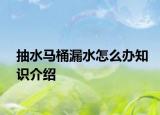 抽水马桶漏水怎么办知识介绍