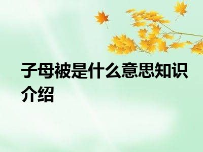 子母被是什么意思知识介绍