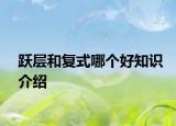 跃层和复式哪个好知识介绍