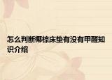 怎么判断椰棕床垫有没有甲醛知识介绍