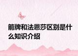 箭牌和法恩莎区别是什么知识介绍