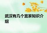 武汉有几个宜家知识介绍