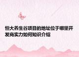 恒大养生谷项目的地址位于哪里开发商实力如何知识介绍