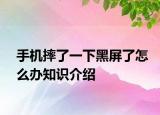 手机摔了一下黑屏了怎么办知识介绍