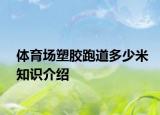 体育场塑胶跑道多少米知识介绍
