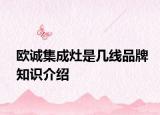 欧诚集成灶是几线品牌知识介绍