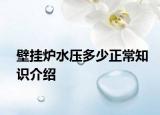 壁挂炉水压多少正常知识介绍
