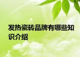发热瓷砖品牌有哪些知识介绍
