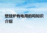 壁挂炉有电用的吗知识介绍