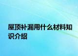 屋顶补漏用什么材料知识介绍