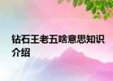 钻石王老五啥意思知识介绍