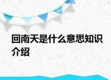 回南天是什么意思知识介绍